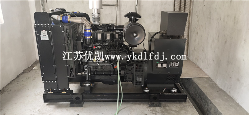 2021年1月26日，100KW上柴發(fā)電機組交付廣西防城港某養(yǎng)豬場使用